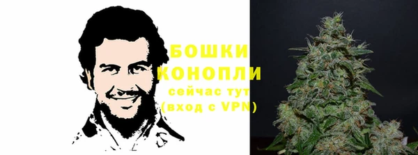 спайс Медногорск