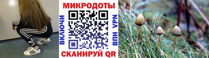 Галлюциногенные грибы MAGIC MUSHROOMS Харабали