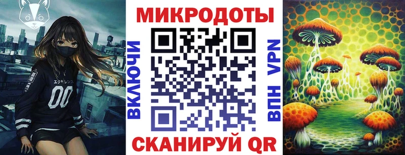 Псилоцибиновые грибы мицелий  купить наркотики сайты  kraken ССЫЛКА  Харабали 